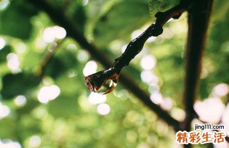 梦见被雨淋湿好不好，女人梦见下大雨被淋湿