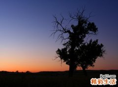 梦见月经血是什么意思，做梦梦到卫生巾满满的是血