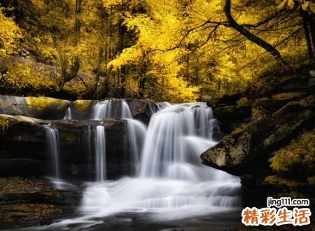 有什么好听的qq名字，干净好听的抖音昵称