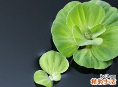 最好听的qq分组名字，超可爱的qq分组名称