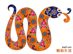 梦见蛇有什么预兆，做梦梦到两条蛇打架