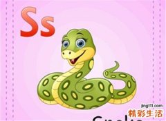 梦见毒蛇预示什么，做梦梦到被毒蛇追赶