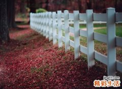 梦见庭院有什么寓意，梦到在岩石上修建豪华庭院