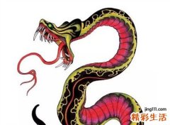梦见杀蛇好不好，做梦梦到剁掉蛇头