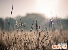 搞笑欠扁有趣的吃鸡名字，独一无二的幽默吃鸡昵称