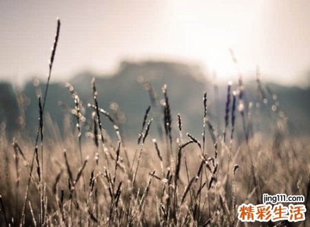 搞笑欠扁有趣的吃鸡名字，独一无二的幽默吃鸡昵称