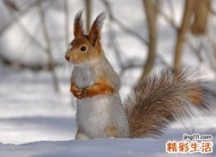 微信有意思的网名，有文化和幽默的微信名字