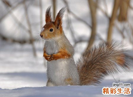微信有意思的网名，有文化和幽默的微信名字