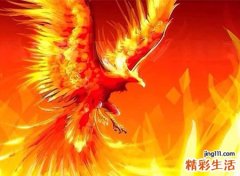 梦见五台山是什么意思，做梦梦到在五台山凤凰涅槃