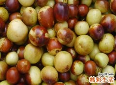 梦见枣子好不好，女人梦到枣树结大青枣
