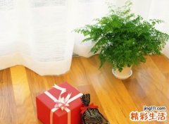 文雅绵薄有意境的微信名字，有含义的淡雅微信名