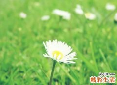 2020独一无二的微信名字，独特优雅的微信最火网名