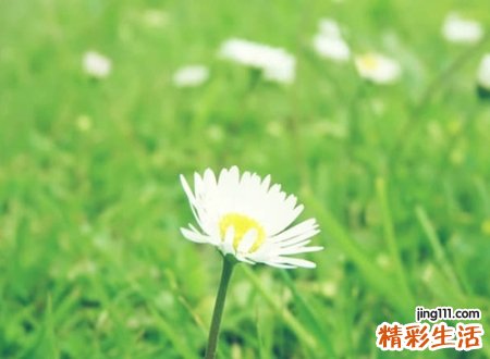 2020独一无二的微信名字，独特优雅的微信最火网名