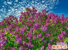 失恋痛到心碎的伤感昵称，心被伤透了的微信网名