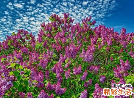 失恋痛到心碎的伤感昵称，心被伤透了的微信网名