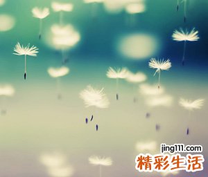 简单的三个字qq网名，独特好听的3字古风昵称