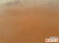 梦见浑水有什么寓意，女人梦见在浑水里走
