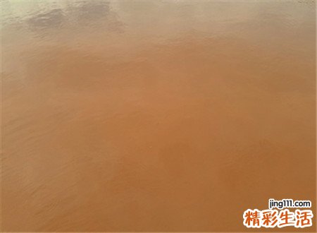 梦见浑水有什么寓意，女人梦见在浑水里走