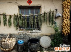 梦见老家有什么寓意，梦到小时候住的老房子