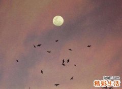 特别丧的网名，悲观沮丧孤独的微信名字