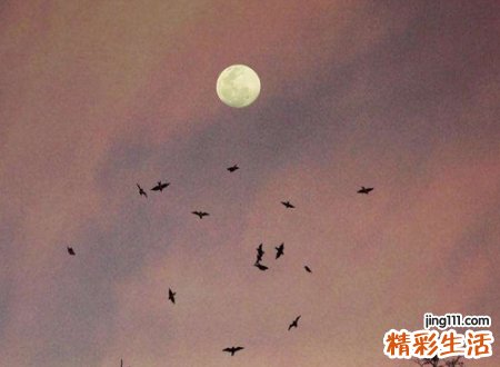 特别丧的网名，悲观沮丧孤独的微信名字