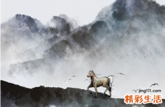 属马女最吸引哪个属相男 属马女最佳配对属相