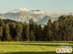 梦见山林啥意思，做梦梦到很茂盛的山林