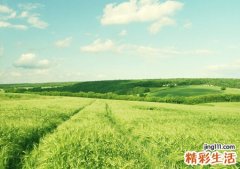 带符号网名，好听的带符号qq昵称