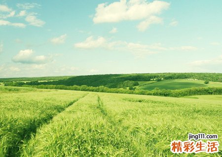 带符号网名,好听的带符号qq昵称