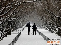 孕妇梦见下雪好不好，孕妇梦见地上白白的雪