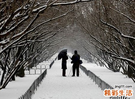 孕妇梦见下雪好不好，孕妇梦见地上白白的雪