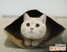比较独特的网名，让人过目不忘的微信昵称