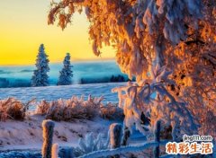 禅意昵称，唯美文艺范的禅意古风名字