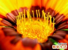 简短好听易记的魔幻抖音网名，引人关注抖音名字