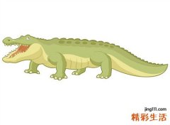 孕妇梦见鳄鱼好不好，孕妇梦到鳄鱼是女孩吗