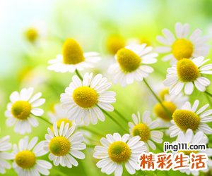 超牛逼的最牛网名，史上最牛逼的霸气昵称