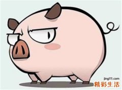 孕妇梦见杀猪预示什么，孕妇梦见杀白猪