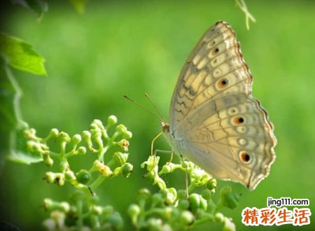 相见恨晚的扣扣昵称，时尚好听的潮流网名