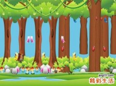 梦见棺材是好是坏，做梦梦到树林边有口棺材