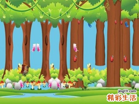 梦见棺材是好是坏，做梦梦到树林边有口棺材