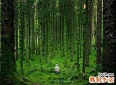梦见逃跑是好是坏，做梦梦到在树林里有人追着我跑