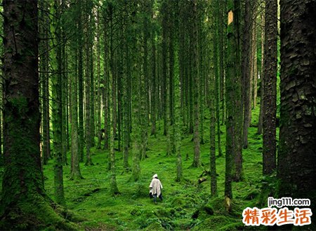 梦见逃跑是好是坏，做梦梦到在树林里有人追着我跑