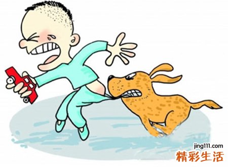 梦见狗咬预示什么，做梦梦到狗追着咬我拿刀反抗