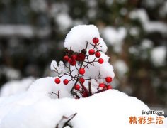 最唯美好听的qq网名，简单酷酷的个性昵称