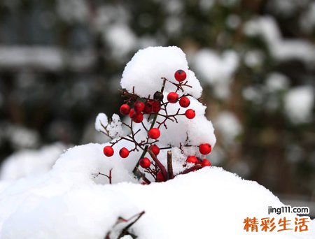 最唯美好听的qq网名，简单酷酷的个性昵称