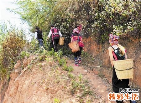 梦见爬坡有什么寓意，女人梦见爬高爬不上去
