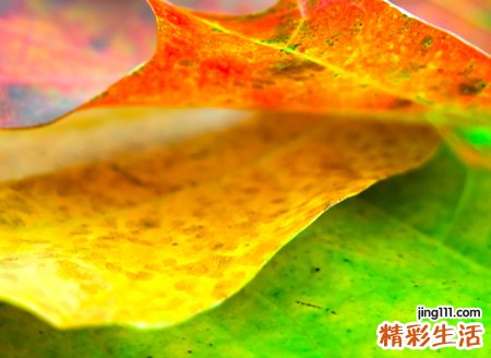 好听的微信名称