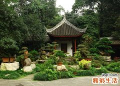 梦见亲人死而复生好不好，做梦梦到活着的亲人死而复生