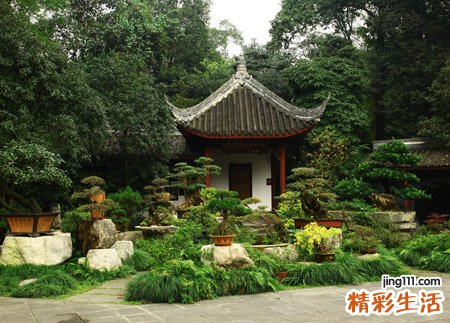 梦见亲人死而复生好不好，做梦梦到活着的亲人死而复生