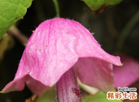 霸气的时尚微信网名最新版